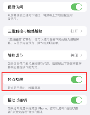 屯昌苹果授权维修站分享iPhone轻点无法唤醒怎么办 