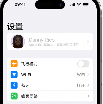 屯昌appleID维修服务iPhone设置中Apple ID显示为灰色无法使用