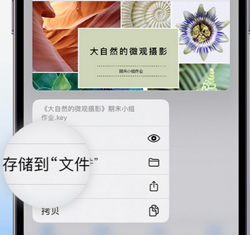 屯昌apple维修中心分享iPhone文件应用中存储和找到下载文件