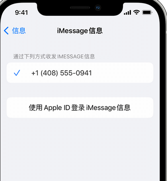 屯昌apple维修iPhone上无法正常发送iMessage信息