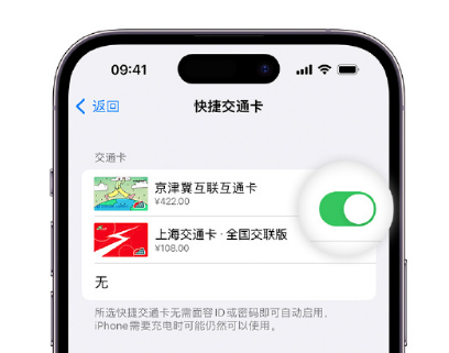 屯昌apple维修点分享iPhone上更换Apple Pay快捷交通卡手绘卡面 