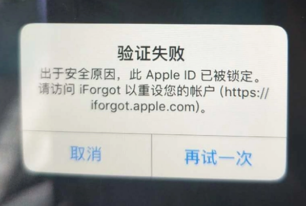 屯昌iPhone维修分享iPhone上正常登录或使用AppleID怎么办 