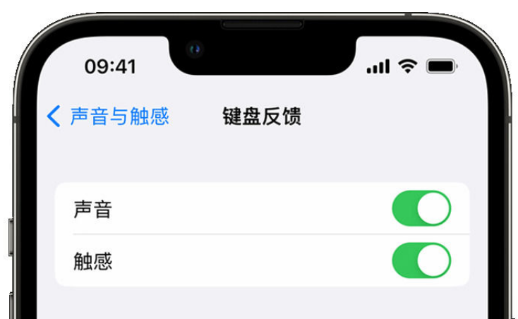 屯昌苹果手机维修分享iPhone 14触感键盘使用方法 