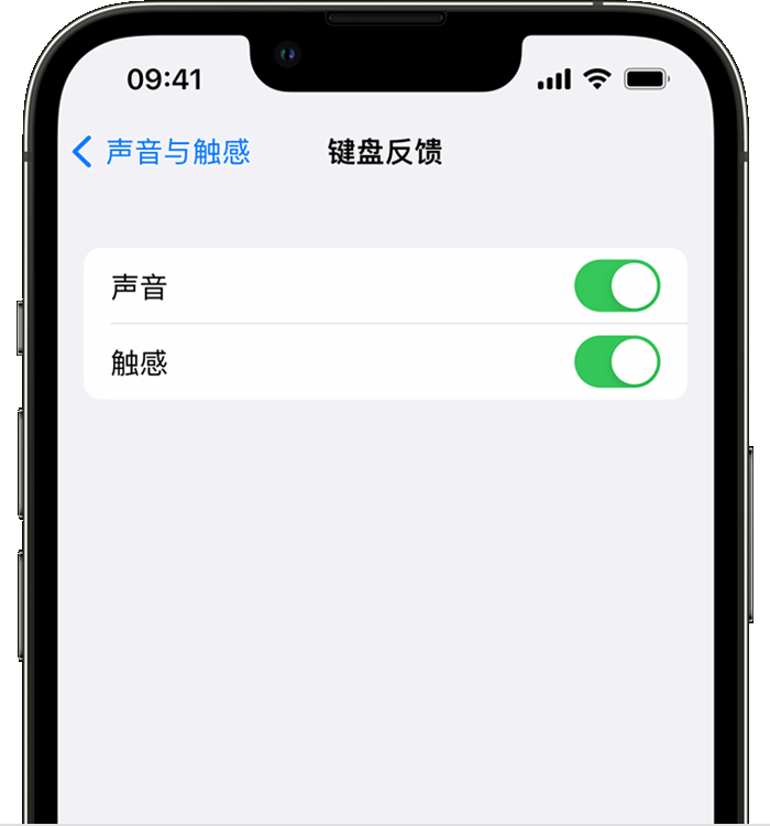 屯昌苹果14维修店分享如何在 iPhone 14 机型中使用触感键盘 