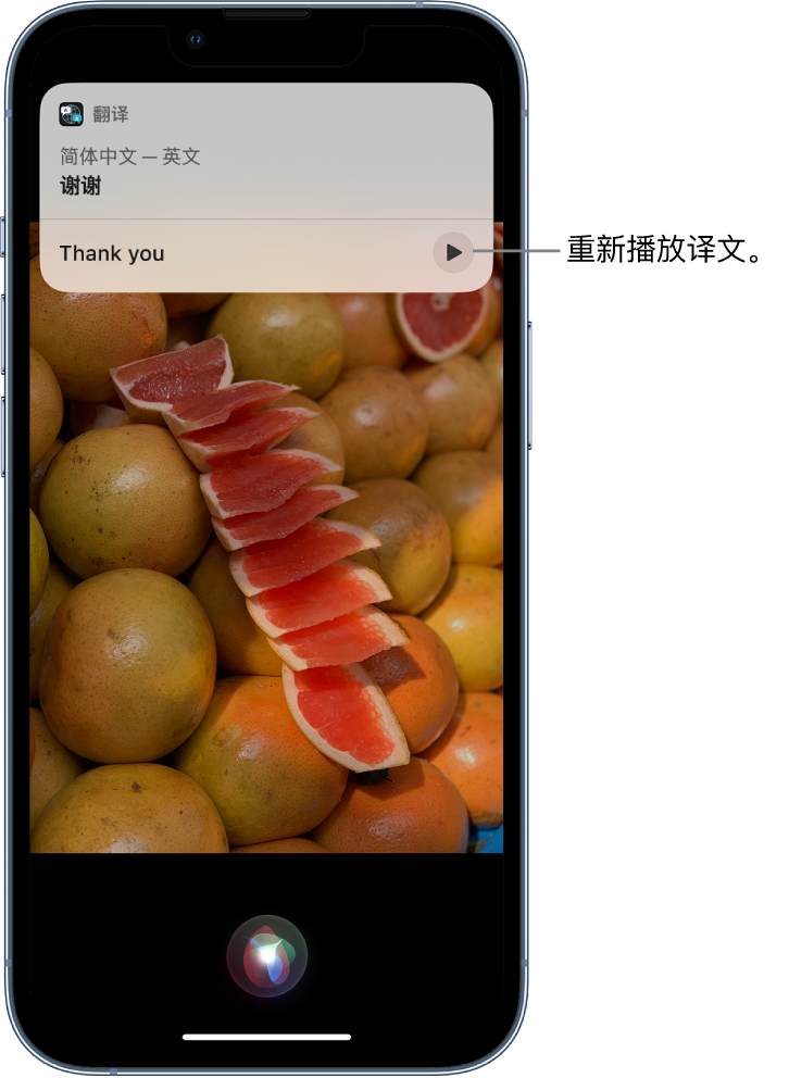 屯昌苹果14维修分享 iPhone 14 机型中使用 Siri：了解 Siri 能帮你做什么 