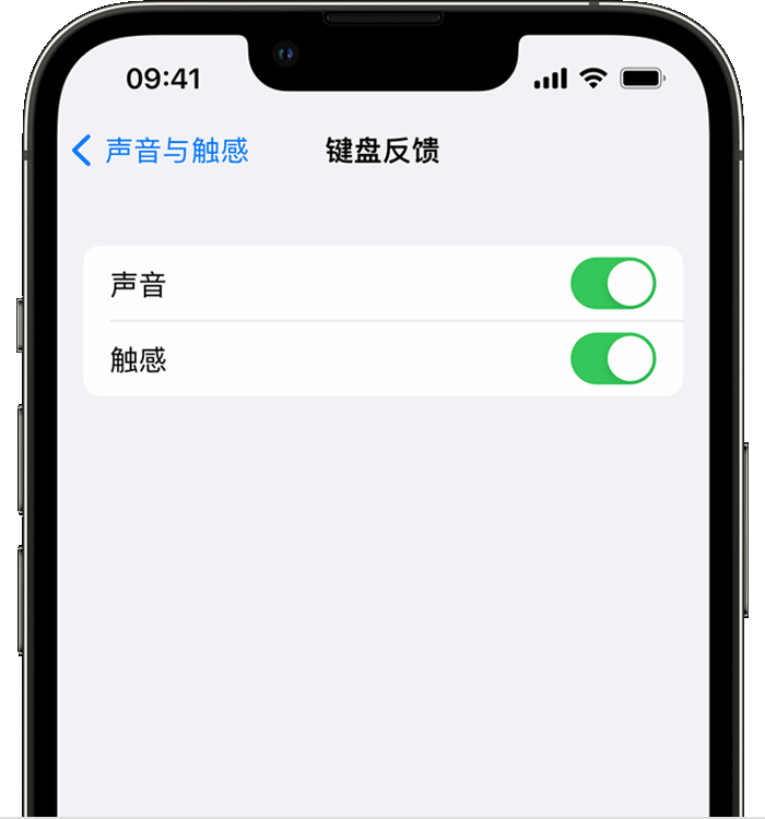 屯昌苹果14维修分享iPhone 14 系列机型如何开启键盘声音或触感反馈 