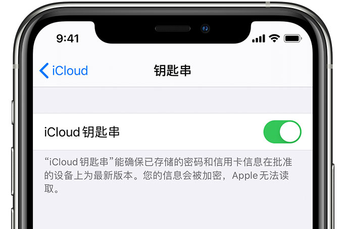 屯昌苹果手机维修分享在 iPhone 上开启 iCloud 钥匙串之后会储存哪些信息 