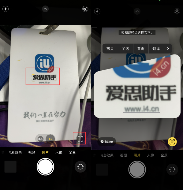 屯昌苹果手机维修分享升级iOS 16后如何通过相机翻译文本 