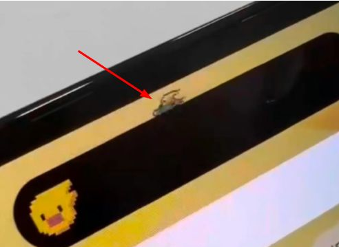 屯昌苹果14维修分享iPhone 14 Pro Max灵动岛怎么养宠物 