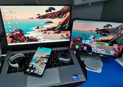 屯昌苹果手机维修分享为什么iPad屏幕更大价格却比iPhone低 