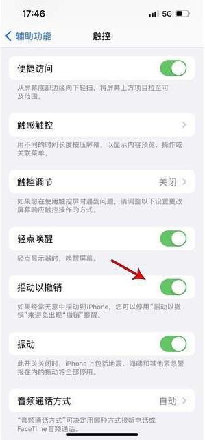 屯昌苹果手机维修分享iPhone手机如何设置摇一摇删除文字 
