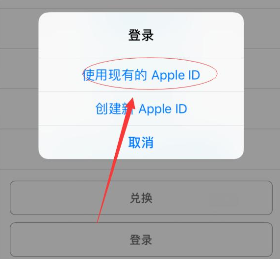 屯昌苹果手机维修分享两台iPhone设备可以同时登录一个Apple ID吗 