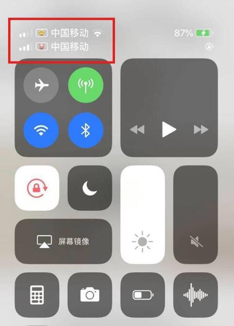 屯昌苹果手机维修分享为 iPhone 12 双卡设置标签 